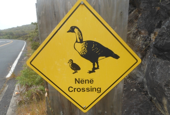 Haleakala Nene Crossing